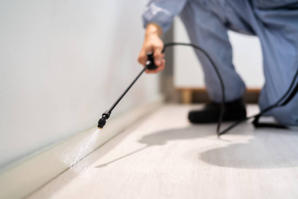 Certified termite inspector examining foundation in Fort Polk North