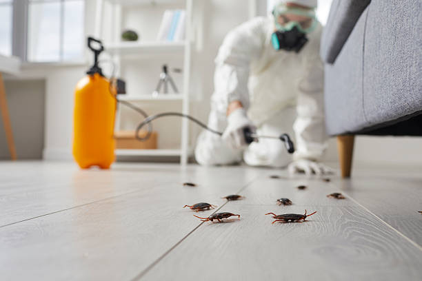 Commercial Kitchen Cockroach Control in Fort Polk North