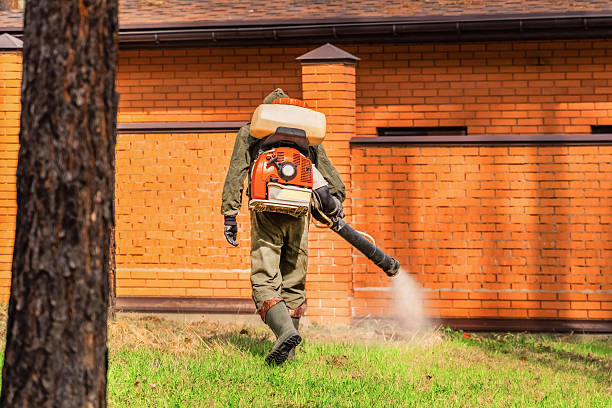 Cockroach Follow-Up and Monitoring in Fort Polk North